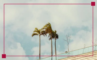 Daños por viento en Castellón: qué cubre tu seguro y cómo evitar el infraseguro